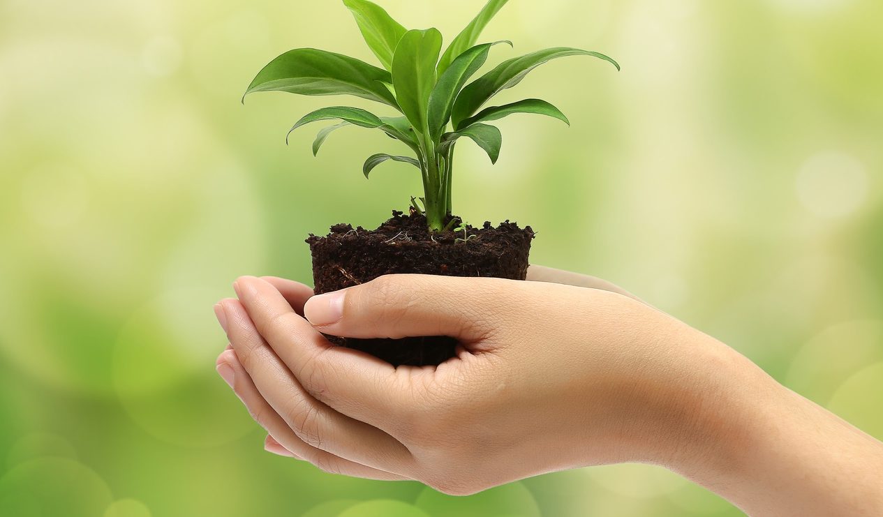 Principios Generales Ambientales